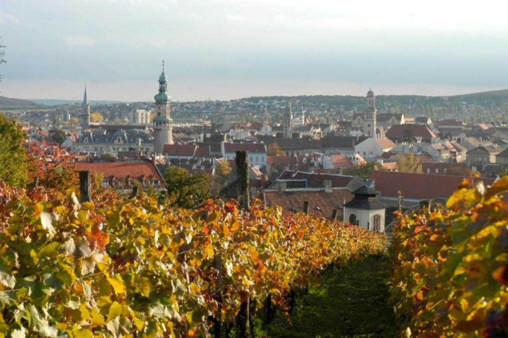Polus Pension Sopron Dış mekan fotoğraf